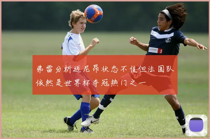 弗雷分析迈尼昂状态不佳但法国队依然是世界杯夺冠热门之一